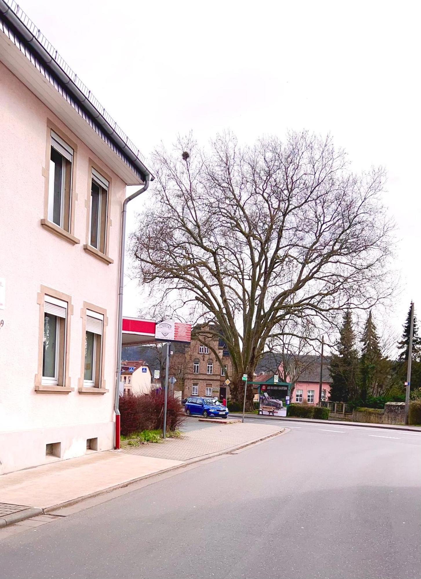 Vinaring Homestay Bad Sobernheim Exteriör bild